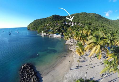an aerial view of a beach with palm trees at Oasis Marigot in Marigot Bay