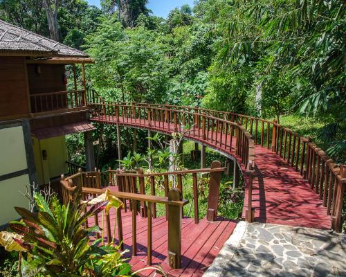 a wooden walkway leading to a house in a forest at Bunaken Oasis Dive Resort and Spa in Bunaken