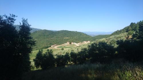 Φυσικό τοπίο κοντά σε αυτό το κατάλυμα σε φάρμα
