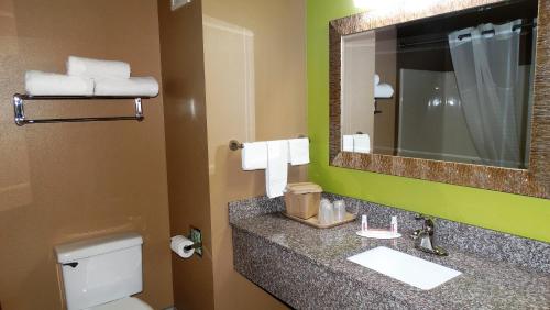 La salle de bains est pourvue d'un lavabo, d'un miroir et de toilettes. dans l'établissement Oak Tree Inn & Suites, à Claxton