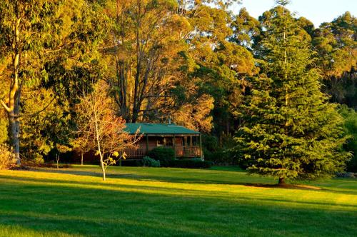 a cabin in the middle of a field with trees at Diamond Forest Farm Stay in Manjimup