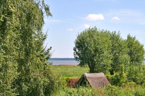 a house in a field with trees and water at Pension Amo Marem in Dierhagen