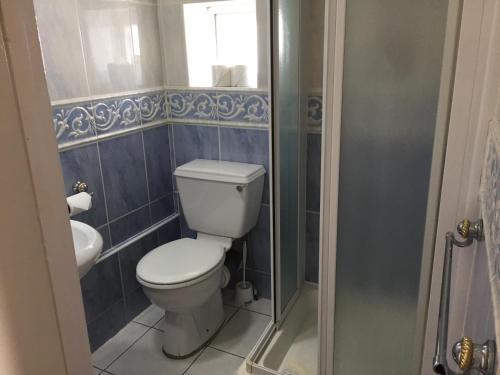a bathroom with a toilet and a glass shower at The Ashleigh - Dog Friendly in Bournemouth