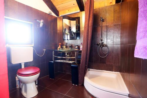 A bathroom at Apartments Kolic