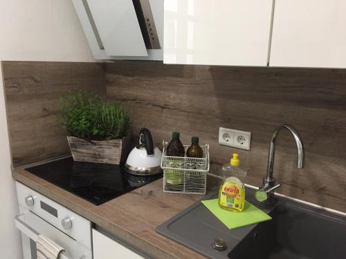 a kitchen counter with a sink with bottles on it at Apartment Potsdam in Potsdam