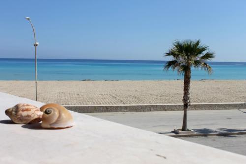 Gallery image of Hotel Sòlanto in San Vito lo Capo