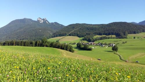 a green field with flowers and mountains in the background at Weinbachbauer - Urlaub am Bauernhof in St. Wolfgang