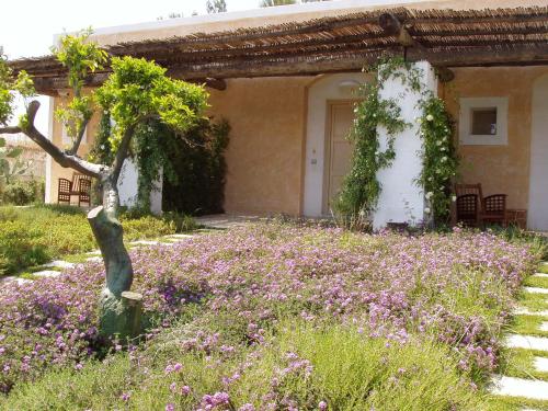 Κήπος έξω από το Masseria L'Antico Frantoio