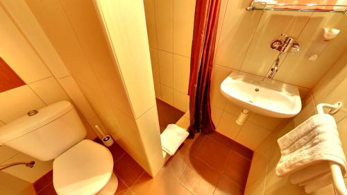 een kleine badkamer met een toilet en een wastafel bij Penzion Siesta in Vráble