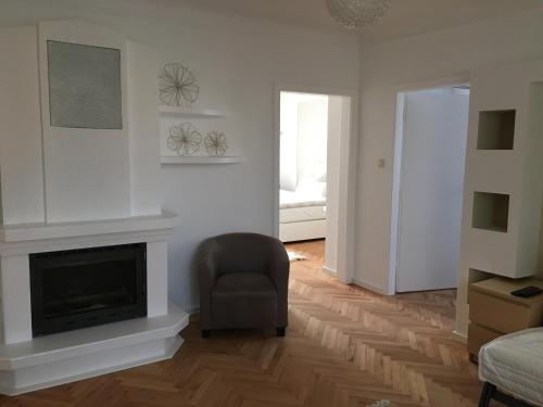 a living room with a fireplace and a chair at Am Löwenpark in Melk