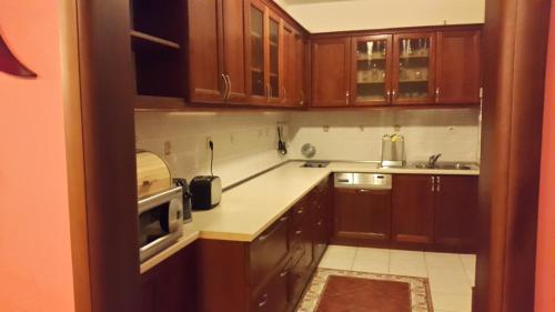 Dapur atau dapur kecil di Holiday Home Ploski