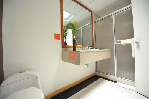 a bathroom with a toilet and a sink and a mirror at Hotel campestre La Floresta in Armenia
