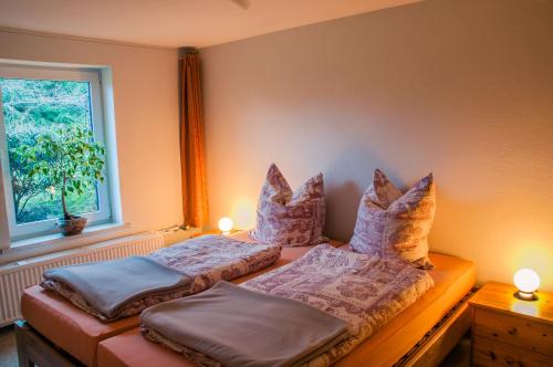 sypialnia z 2 łóżkami z poduszkami i oknem w obiekcie Vogelhaus Rosenthal w mieście Rosenthal