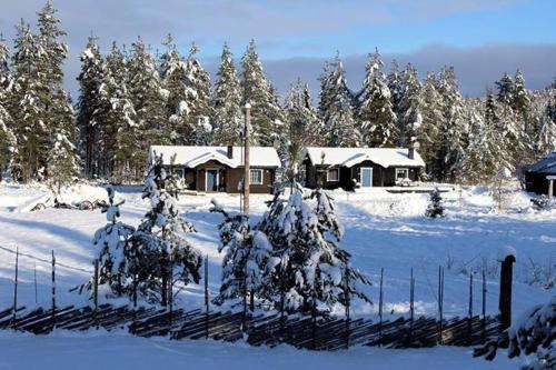 Nymon Mountain Lodge semasa musim sejuk