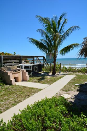 a palm tree on the beach with the ocean at Oceanfront Sea Scape Motel in Melbourne