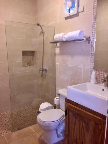 Un baño con inodoro, ducha y lavabo. en Hotel Yamilí, en Punta Cana