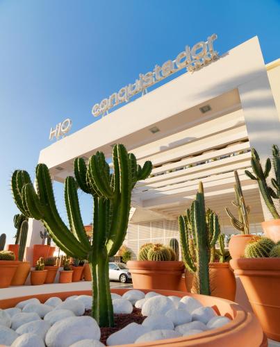 a group of cacti in pots in front of a store at H10 Conquistador in Playa de las Americas