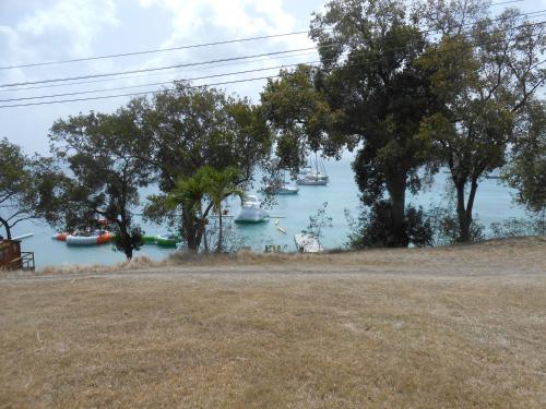a view of a harbor with boats in the water at Entre Mer et Verdure in Sainte-Anne