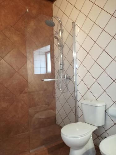 a bathroom with a toilet and a glass shower at Patio da Memoria in Palmela