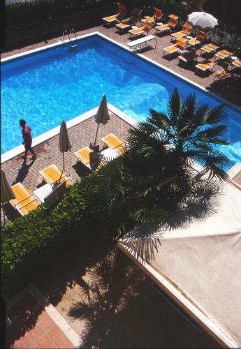 Gallery image of Hotel Rivadoro-Spiaggia ombrellone e lettini-Piscina-Parcheggio in Martinsicuro