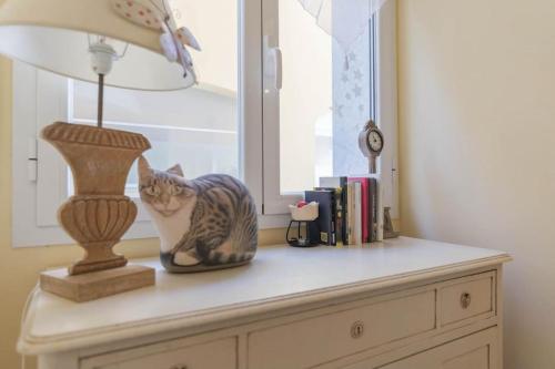 a cat sitting on a dresser with a lamp and books at La Casa di Pepe in Pietra Ligure