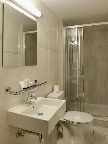a bathroom with a sink and a toilet and a shower at Hotel Groeninghe in Bruges
