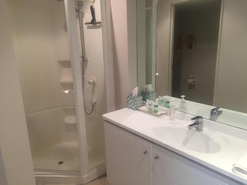 a bathroom with a sink and a mirror and a shower at Palm Garden Apartment in Auckland