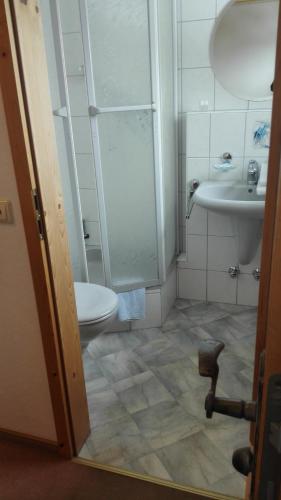 a bathroom with a shower and a toilet and a sink at Pension Forsthaus Täle - das Gästehaus vom Schwarzwaldgasthaus Salenhof in Titisee-Neustadt