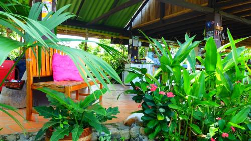 Taman di luar Posada Villa Margarita