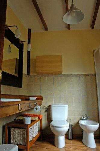a bathroom with a toilet and a sink at Casa Lugaré in Ayerbe