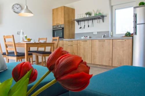a kitchen with a table with red flowers on it at Apartments Bego Spa & Wellness in Crikvenica