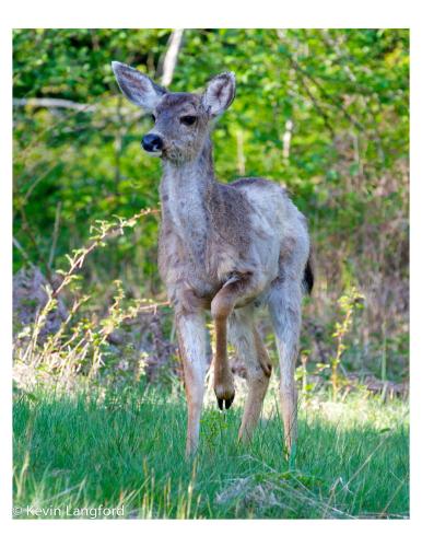 Nature's Door Guest Suite – Photos 5