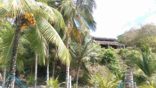 a group of palm trees in front of a house at Hosteria Cumilinche in Same