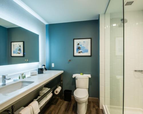 La salle de bains est pourvue de toilettes, d'un lavabo et d'une douche. dans l'établissement Cambria Hotel McAllen Convention Center, à McAllen