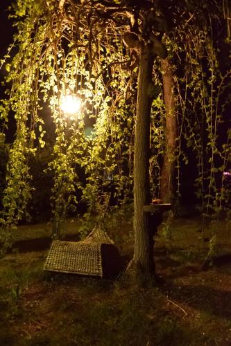 a hammock under a tree in a park at night at Villa Irene in Magione