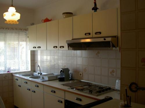 uma cozinha com um lavatório e um fogão forno superior em Âncora Apartment em Vila Praia de Âncora