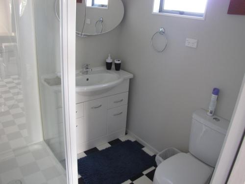 a bathroom with a sink and a toilet and a shower at Cruz Inn in Featherston