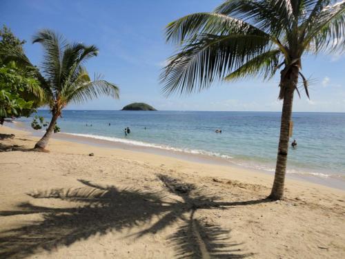 een strand met palmbomen en mensen in het water bij Residence Les Palmiers in La Trinité
