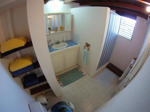 a small bathroom with a sink and a shower at White Coconut Studio in Christ Church