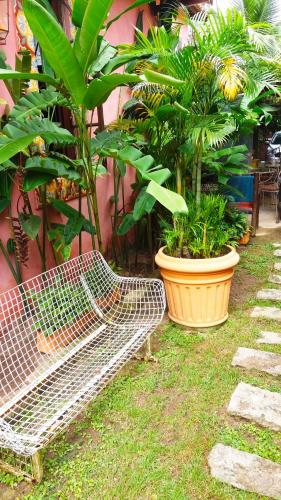 a metal bench sitting next to a bunch of plants at Vila Santa Rosa Guest House in Ilhabela