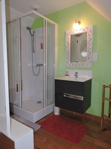 une salle de bain avec douche et lavabo dans l'établissement Gîte de La Hertaudière, à Montbizot