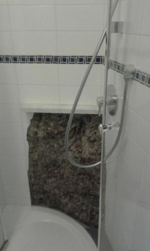a bathroom with a toilet with a shower in it at La Scala Vernazza CinqueTerre in Vernazza