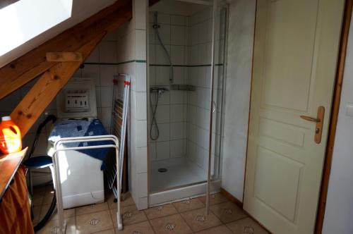 ein Bad mit einer Dusche und einer ebenerdigen Dusche in der Unterkunft Gite tout confort in Jausiers