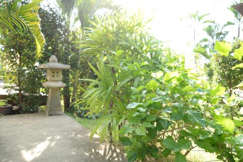 En have udenfor Bangsaray Villa