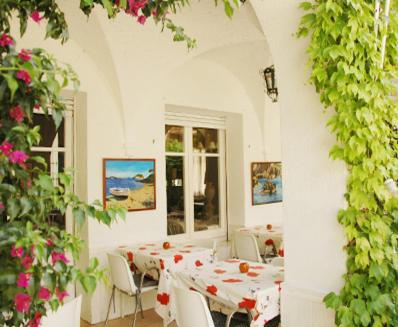 Zahrada ubytování Hotel Comodoro