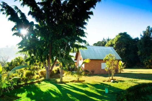 a house in the middle of a yard with a tree at Riviera Garden in Antananarivo