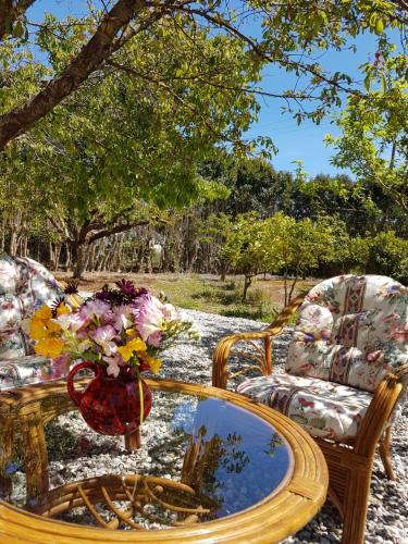 a coffee table with a vase of flowers and two chairs at Magnolia Apartments in Fiskardho