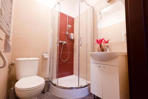 a bathroom with a shower and a toilet and a sink at Aparthotel W Pałacu in Kraków
