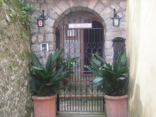 an entrance to a stone building with a gate and two plants at B&B L'Arcobaleno in Sorrento