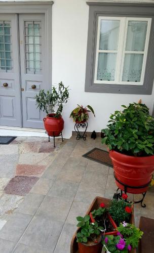 three potted plants sitting in front of a door at Manolia in Hydra
